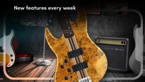 real-bass-electric-bass-guitar-2