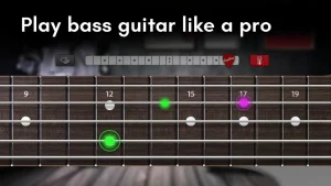 real-bass-electric-bass-guitar-24