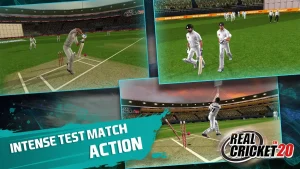 real-cricket-20-4