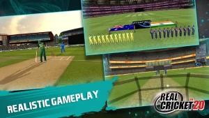 real-cricket-20-7