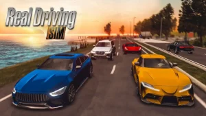 real-driving-simulator