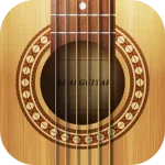 Real Guitar: acoustic electric
