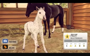 rival-stars-horse-racing-10