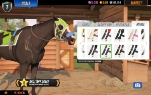 rival-stars-horse-racing-14