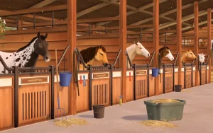 rival-stars-horse-racing-17
