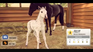 rival-stars-horse-racing-2