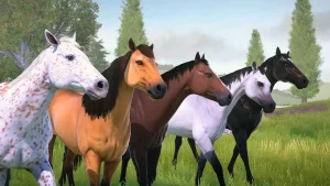 rival-stars-horse-racing