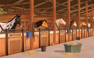 rival-stars-horse-racing-9