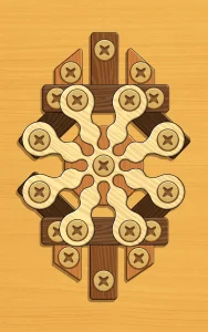 screw-puzzle-wood-nut-bolt-11
