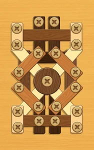 screw-puzzle-wood-nut-bolt-13