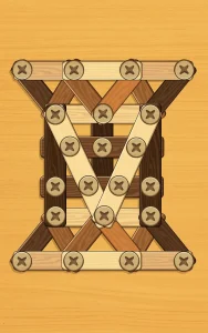 screw-puzzle-wood-nut-bolt-14