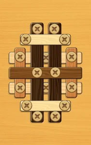 screw-puzzle-wood-nut-bolt-15