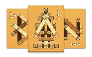 screw-puzzle-wood-nut-bolt-16