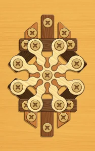 screw-puzzle-wood-nut-bolt-19