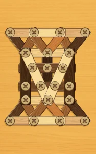 screw-puzzle-wood-nut-bolt-22