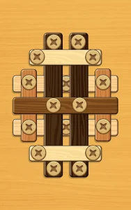 screw-puzzle-wood-nut-bolt-23
