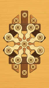 screw-puzzle-wood-nut-bolt-3