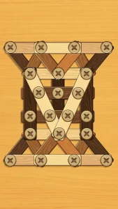 screw-puzzle-wood-nut-bolt-6