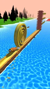 spiral-roll-1