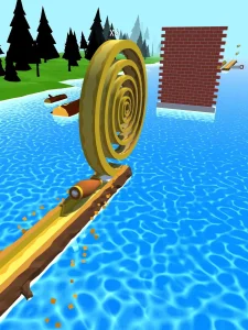 spiral-roll-10