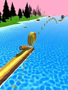 spiral-roll-14