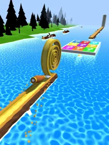 spiral-roll-15