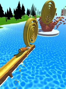spiral-roll-20