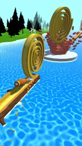 spiral-roll-4