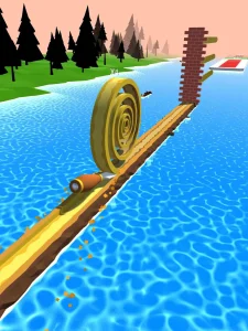 spiral-roll-9