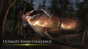 takashi-ninja-samurai-game-14