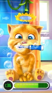 talking-ginger