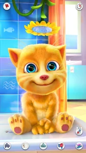 talking-ginger-4