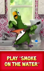 talking-pierre-the-parrot-10