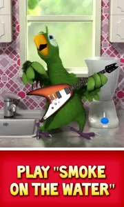 talking-pierre-the-parrot