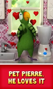talking-pierre-the-parrot-4