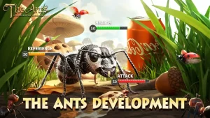 the-ants-underground-kingdom