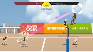 the-spike-cross-volleyball-13