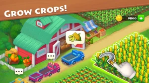 township-16