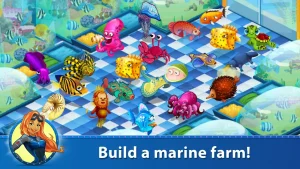 treasure-diving-11