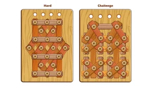 wood-nuts-bolts-puzzle-6