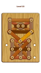 wood-nuts-bolts-puzzle-9