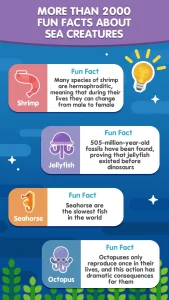 word-search-sea-word-puzzle-6