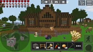 world-craft-block-craftsman-1