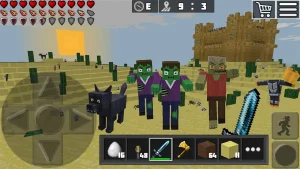 world-craft-block-craftsman-11