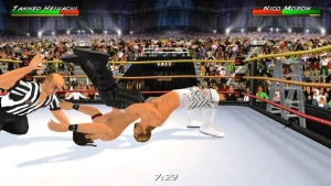 wrestling-revolution-3d-1