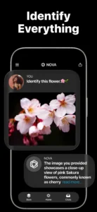 ai-chatbot-nova-13