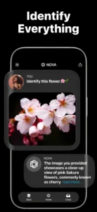 ai-chatbot-nova-5
