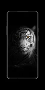 black-wallpapers-in-hd-4k-13