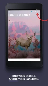 flipboardyour-social-magazine-9