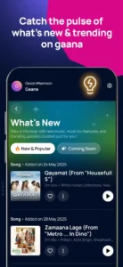 gaana-mp3-songs-music-app-2